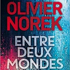 Olivier Norek nous emmène dans la Jungle de Calais avec son nouveau roman Entre deux Mondes