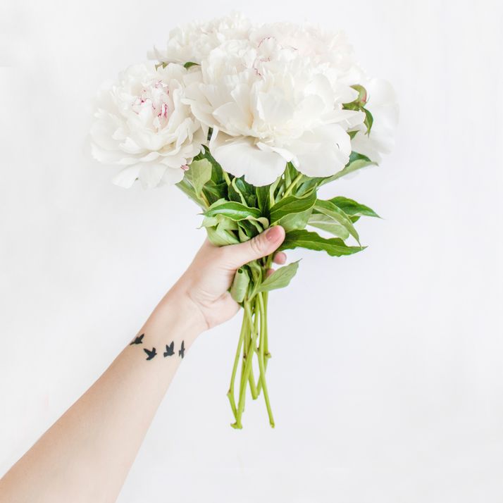 Rote Rosen und ihre Bedeutung endlich die Sprache der Blumen verstehen!