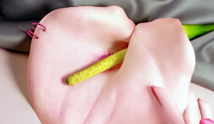 video der weiblichen klitoris piecing
