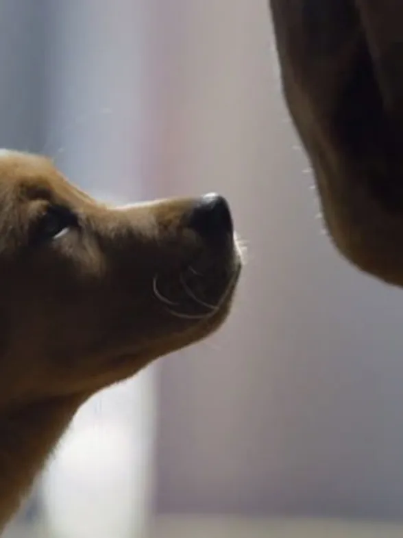 The Most Heartwarming And Generally Epic Adverts Of All Time