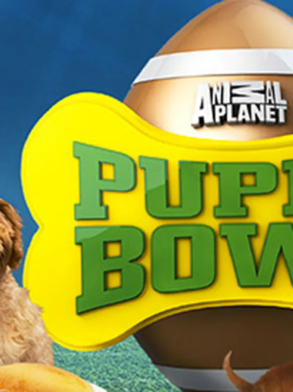 Cutest moments from Puppy Bowl X