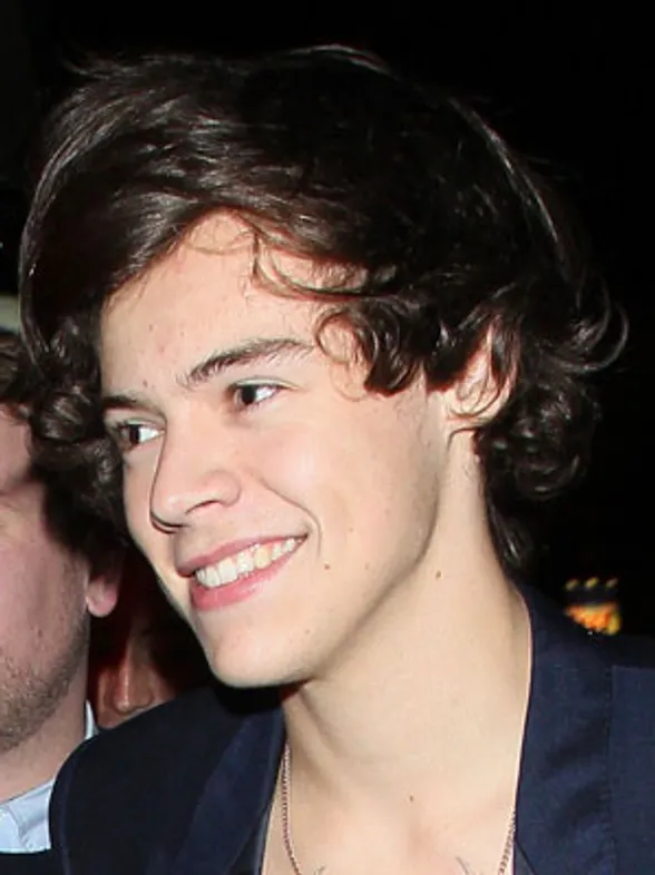 Harry Styles is worried girls will use him for money and fame