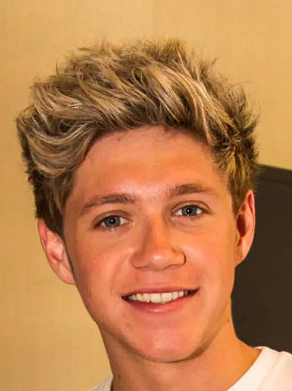 Niall Horan hangs out with Harry Styles’ ex, Taylor Swift