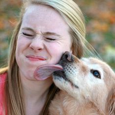 Pourquoi les coups de langue affectueux de votre chien peuvent être très dangereux pour vous