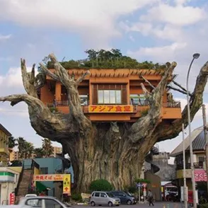 ¡Esta casa es una ruina!: ¿te atreverías a vivir en alguna de ellas?