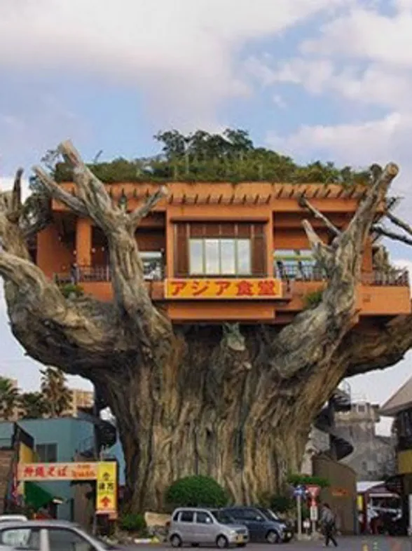 ¡Esta casa es una ruina!: ¿te atreverías a vivir en alguna de ellas?