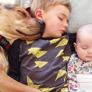 La entrañable historia de dos niños y su perrito contada en imágenes