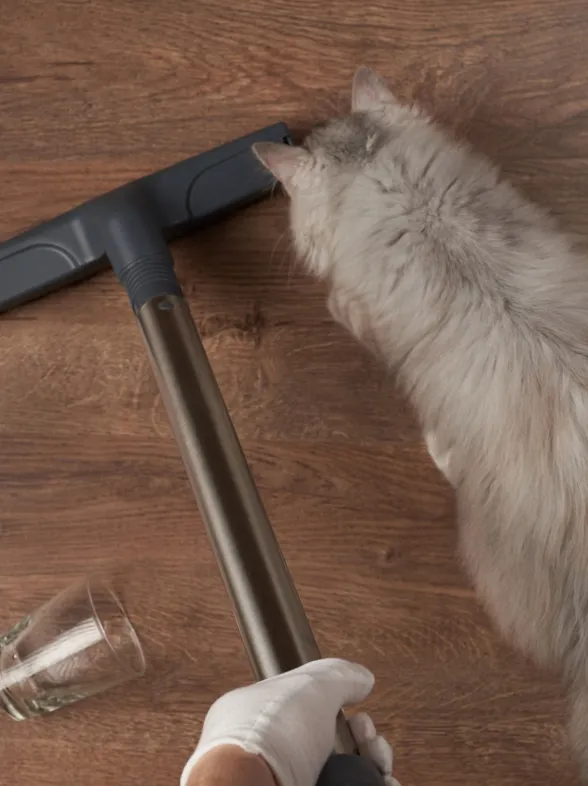 Las mejores aspiradoras y accesorios para el pelo de tus mascotas