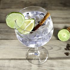 Las ginebras más top para gin-tonics de 10