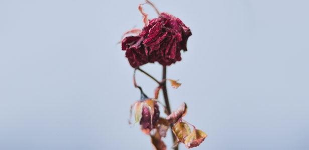 Download Es gibt zwei dinge sterben unendlich sind Desktop Wallpaper Es Gibt Zwei Dinge Sterben Unendlich Sind