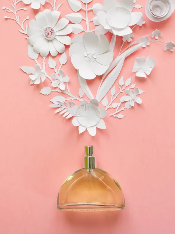 Los mejores perfumes low-cost de las marcas más prestigiosas