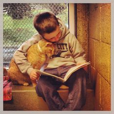 Pause tendresse : Des enfants viennent faire la lecture à des chats abandonnés (photos)