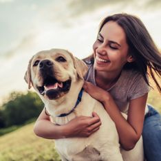 Pour vivre plus longtemps, adopter un chien serait une très bonne idée !
