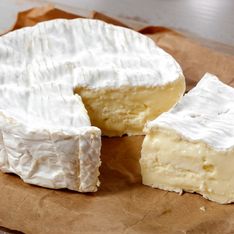 Tout savoir sur le camembert