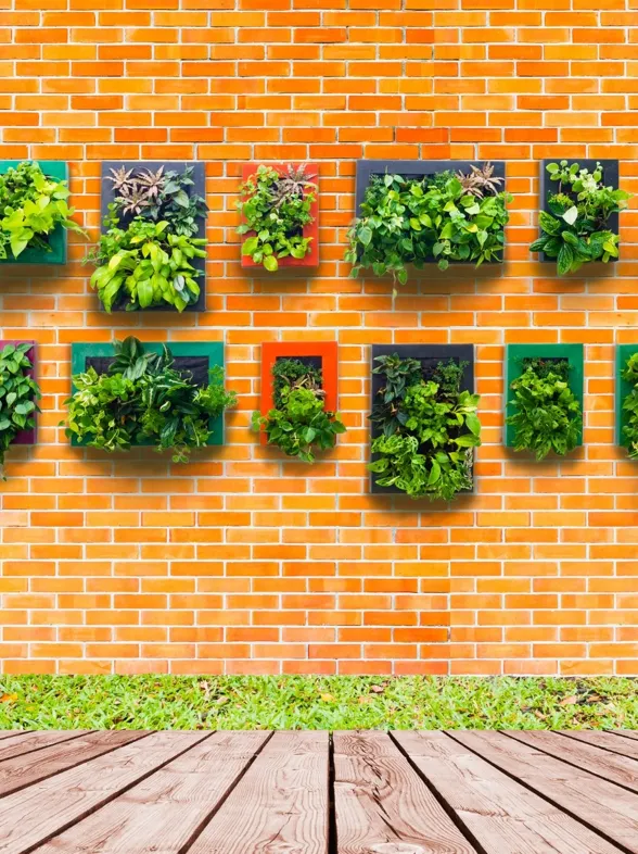 Crea tu jardín vertical en casa, esto es todo lo que necesitas