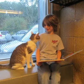 Momentos tiernos: unos niños aprenden a leer junto a gatitos abandonados