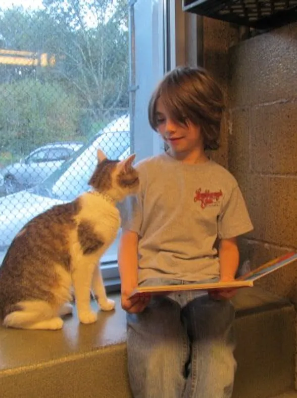 Momentos tiernos: unos niños aprenden a leer junto a gatitos abandonados