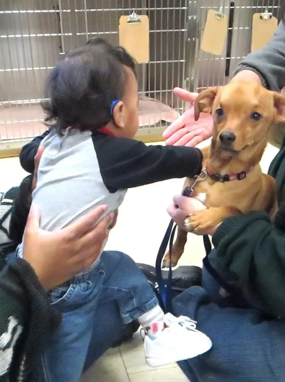 Un niño y un perro unidos por la misma enfermedad