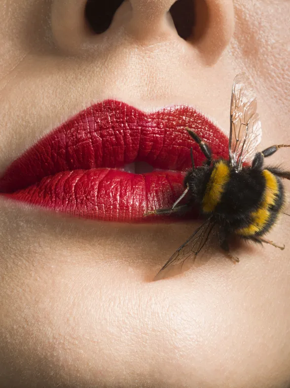 ¿Placenta de oveja? ¿Plasma sanguíneo? Los tratamientos de belleza más raros