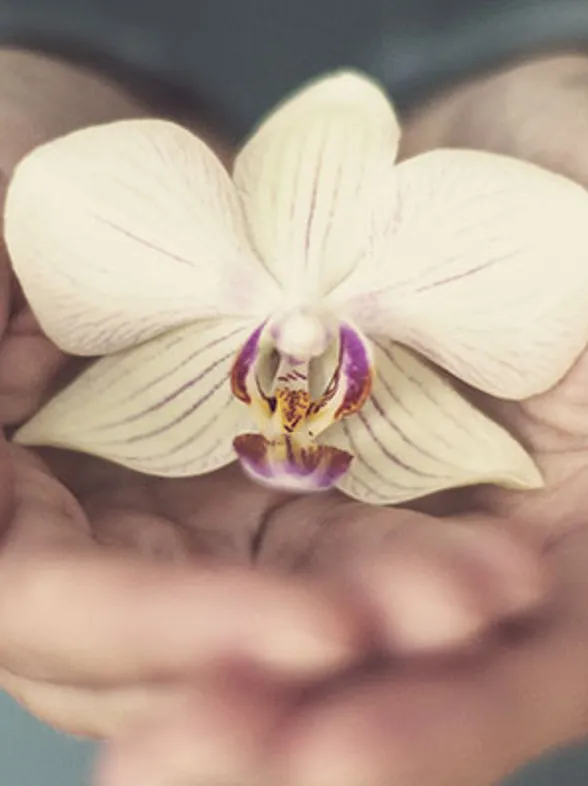 The Truth About Lady Bits: 20 Facts You Might Not Know About Your Vagina