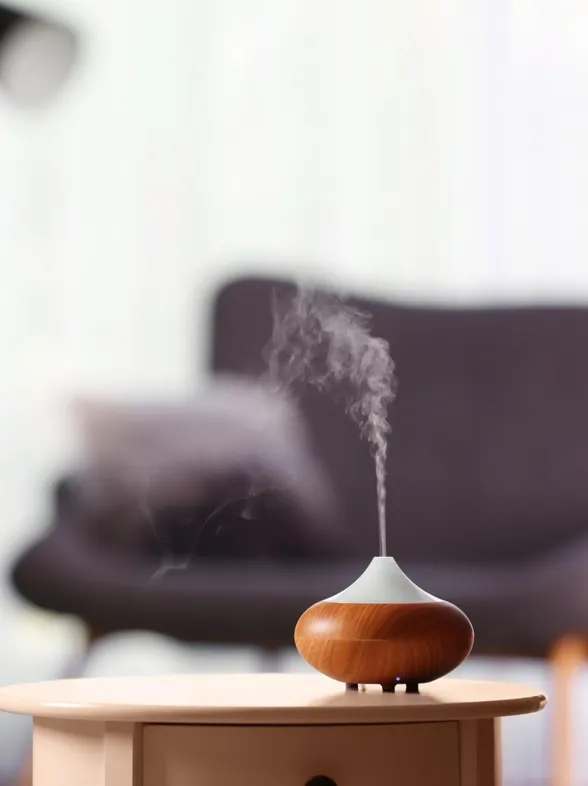 ¿Cuáles son los mejores ambientadores para tu casa?