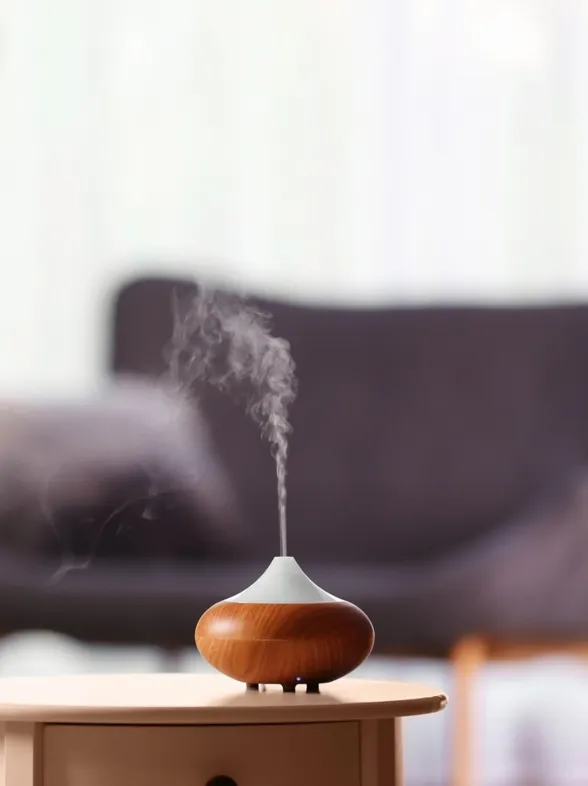 ¿Cuáles son los mejores ambientadores para tu casa?