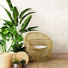 Pflanzen fürs Wohnzimmer: Geniale Profi-Tipps und stylische Einrichtungsideen