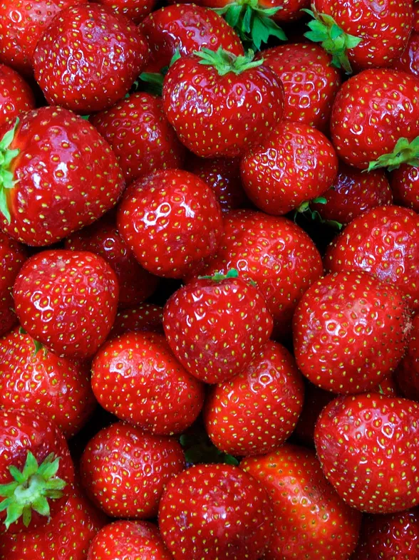 8 excelentes alimentos antiinflamatorios para una vida más saludable