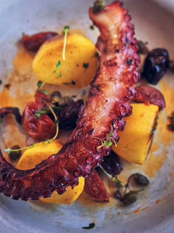 Pulpo a la brasa: una receta sencilla, saludable y muy sabrosa