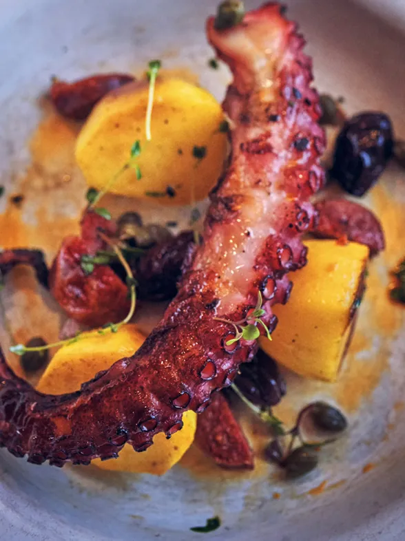 Pulpo a la brasa: una receta sencilla, saludable y muy sabrosa