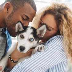 D'après une étude, 52% des propriétaires de chiens l'embrasseraient plus que leur partenaire