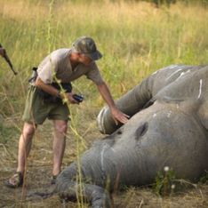 Dans l’Eure, un vétérinaire harcelé après la publication de ses photos de chasse en Afrique