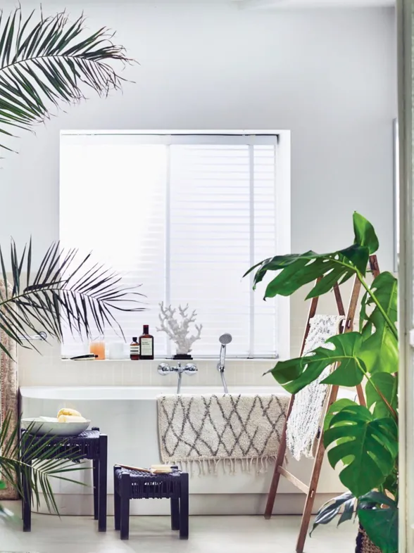 10 plantas para el baño que crecen (casi) solas