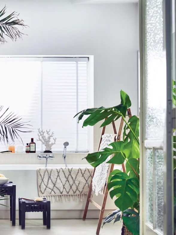 10 plantas para el baño que crecen (casi) solas