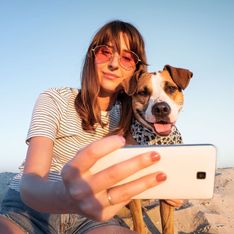 Reisen mit Hund: Tipps für einen entspannten Urlaub für alle
