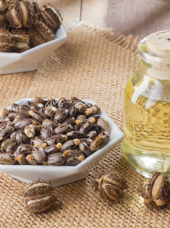 El aceite de ricino: el mejor aliado en tu rutina de belleza