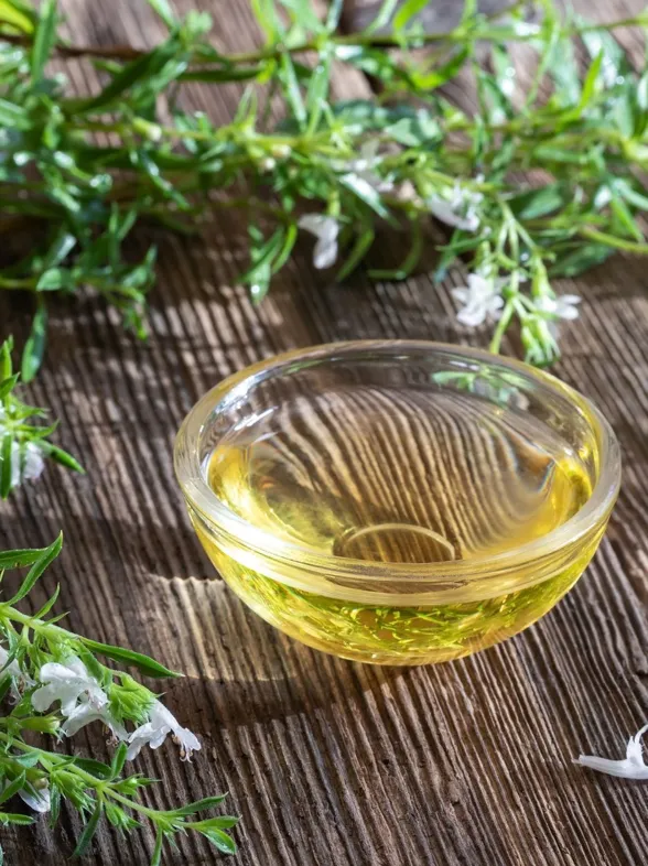 Planta medicinal, afrodisiaca y digestiva: los beneficios de la ajedrea