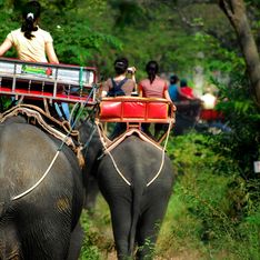 Le Cambodge va enfin interdire les balades à dos d'éléphants