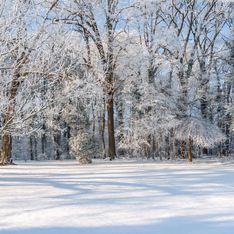 Sognare la neve: significato e interpretazioni