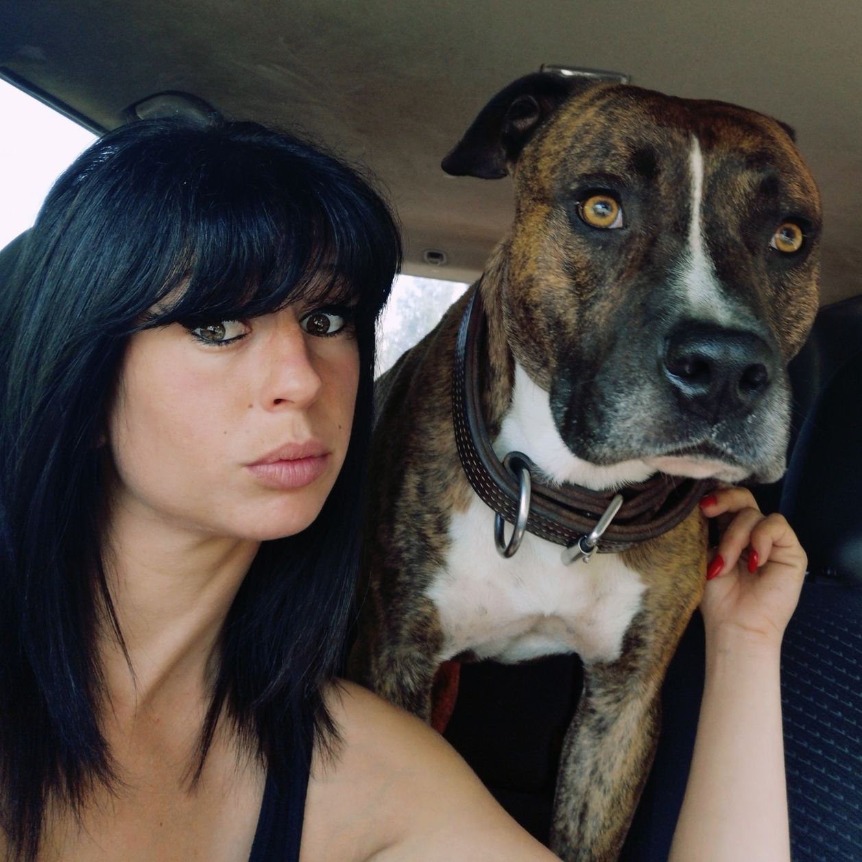 Le compagnon D'Elisa Pilarski, prêt à tout pour sauver leur chien, Curtis, menacé d'euthanasie