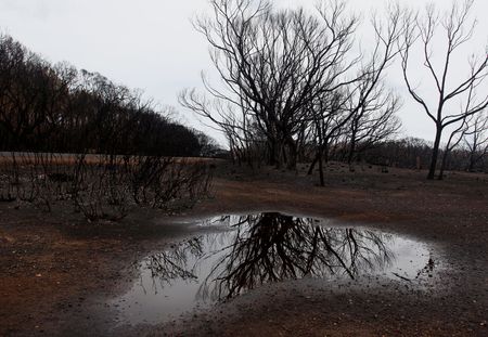 Australie : Des orages éteignent les feux à l’Est mais rien n’est encore gagné