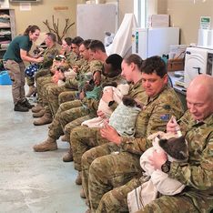 Des soldats nourrissent des koalas victimes de l'incendie dans un parc en Australie