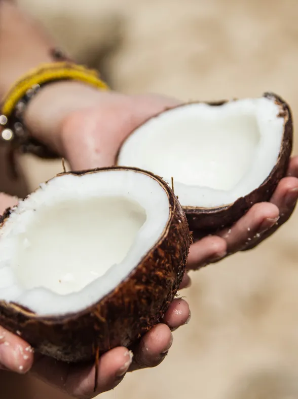 Más que una crema hidratante: ¿conoces todas las propiedades del aceite de coco?