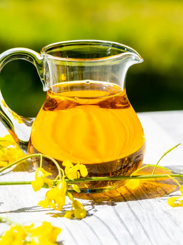 ¿Es hora de recuperar el aceite de colza? Estas son sus propiedades