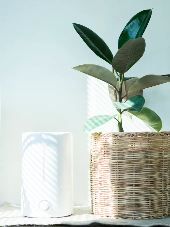 Estos son todos los beneficios de tener un humidificador en casa