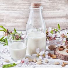 Latte vegetale: le 7 alternative sane e gustose del latte vaccino!