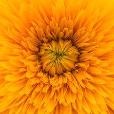 Colore giallo: significato e proprietà sulla mente