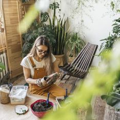 Urban Jungle Wohntrend: Pflanzen-Tipps für jedes Zimmer