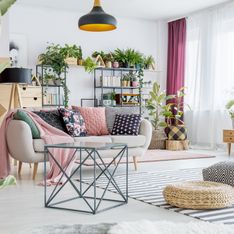 Le piante più eleganti da appartamento per arredare la tua casa con stile