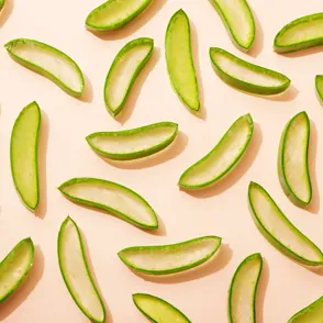 Piel sensible, depilación, acné...¿Cómo cuidarse con gel de aloe vera?